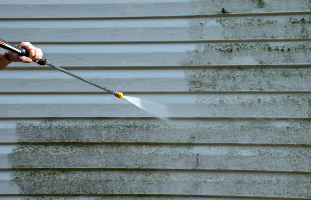 Best Sidewalk and Walkway Cleaning  in Fern Acres, HI