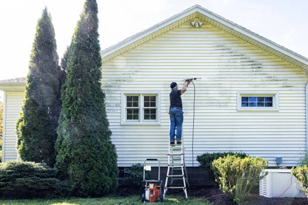 Best Post-Construction Pressure Washing  in Fern Acres, HI